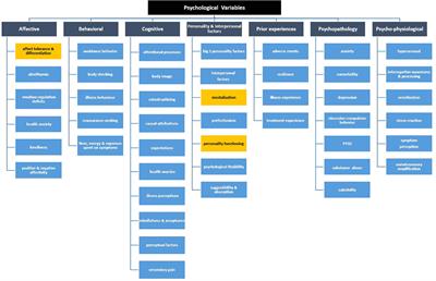 Response to Commentary: The framework for systematic reviews on psychological risk factors for persistent somatic symptoms and related syndromes and disorders (PSY-PSS)